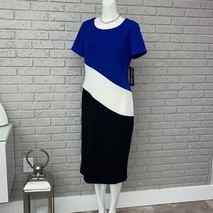 Madison Leigh Color Block Sheath Dress Size 10 NWT